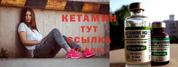 прущие грибы Армянск