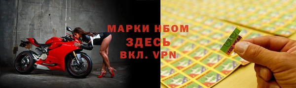 прущие грибы Армянск