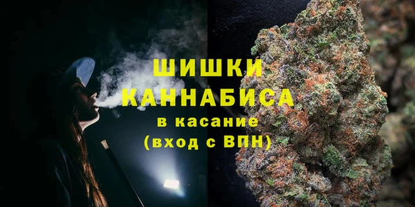 прущие грибы Армянск