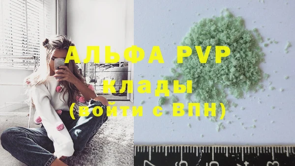 эйфоретик Аркадак