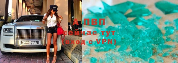 прущие грибы Армянск