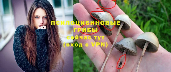 эйфоретик Аркадак